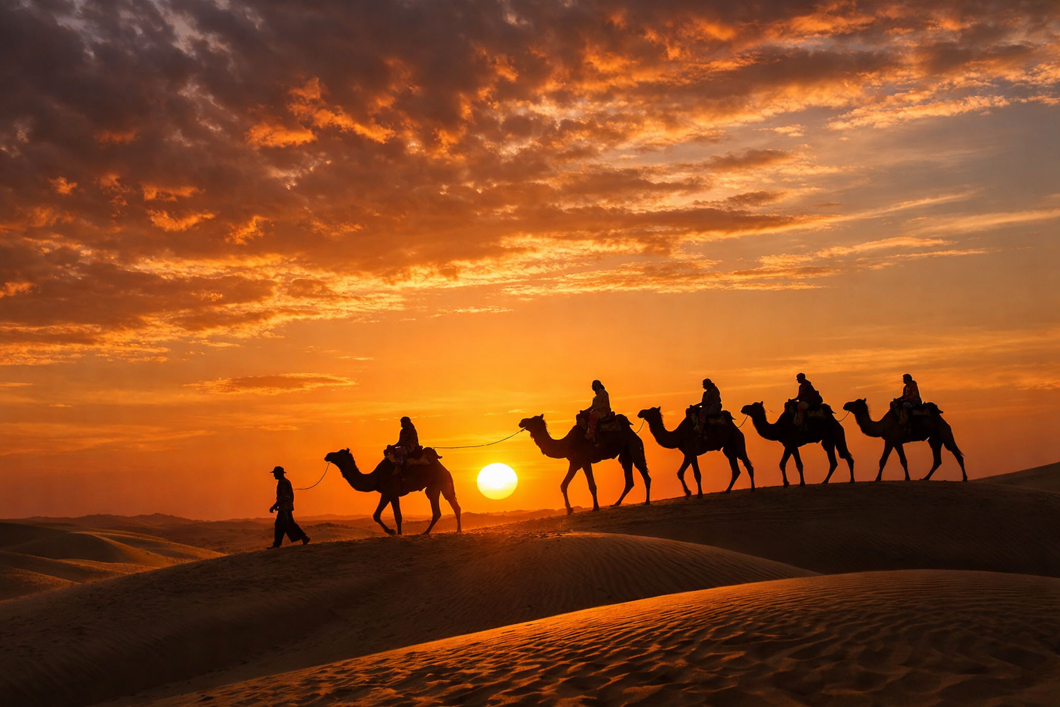 Camel Safari in Thar Desert